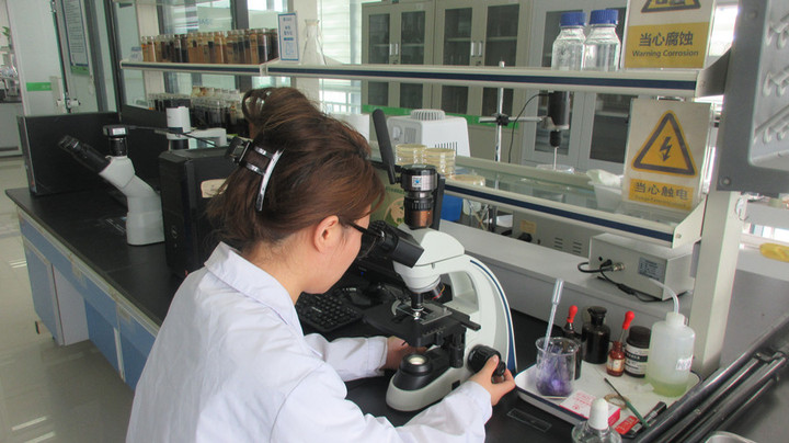 Shandong Jinmai Biotechnology Co., Ltd.