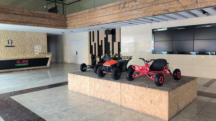 Zhejiang Longwise Technology Co., Ltd.