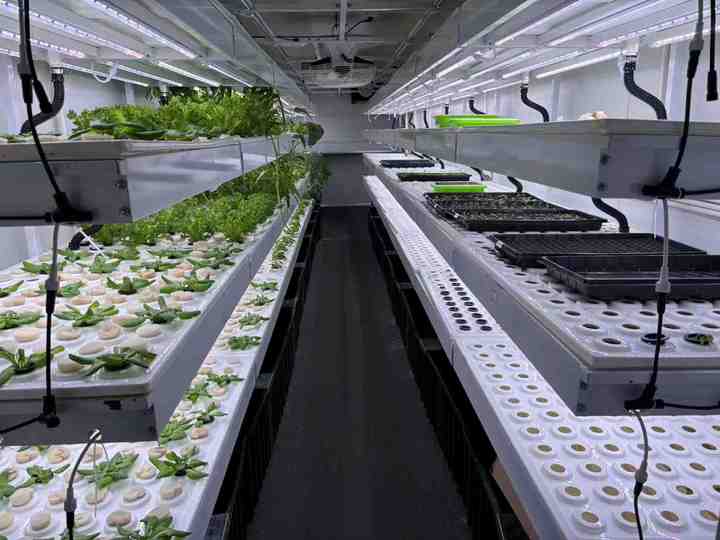 Jiangsu Skyplant Greenhouse Technology Co., Ltd.