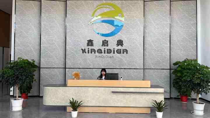 Wuhan Xinqidian Technology Group Co., Ltd.