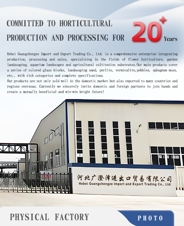 Hebei Guangchengze Import And Export Trading Co., Ltd.