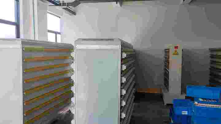Yifa Holding Group Co., Ltd.