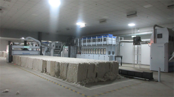 Wuhu Fuchun Dye And Weave Co., Ltd.