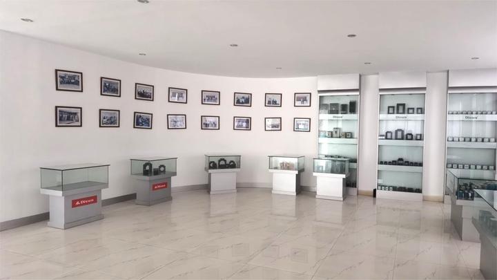 Zhejiang Dixsen Electrical Co., Ltd.